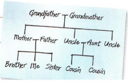 family-charts